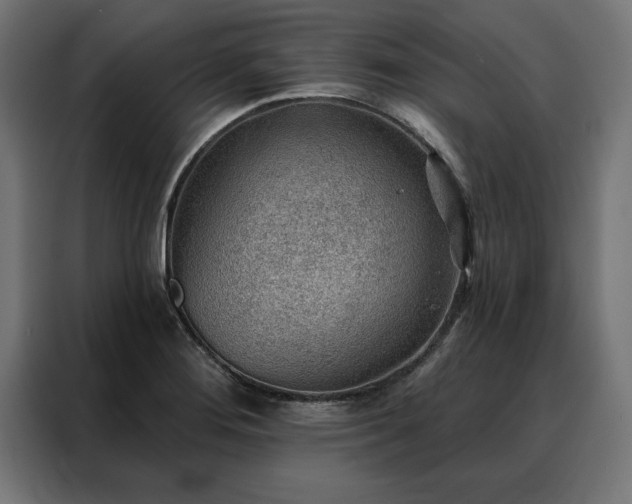 X0000088161276200705221553