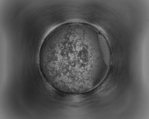 X0000088161279200705221553