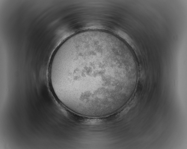 X0000088161282200705221553