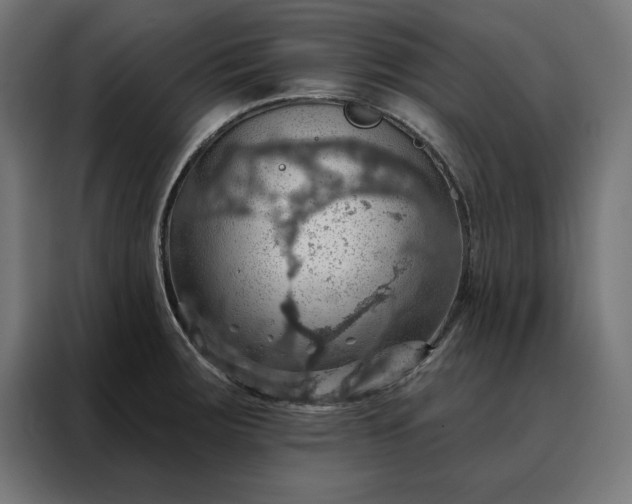 X0000088161283200705221553