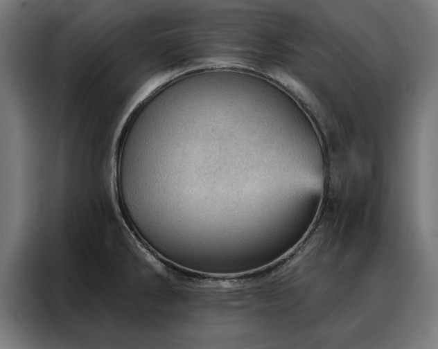 X0000088161286200705221553