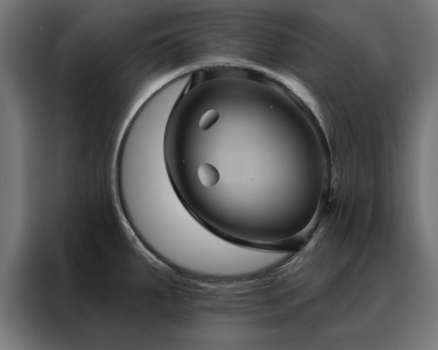 X0000088161287200705221553
