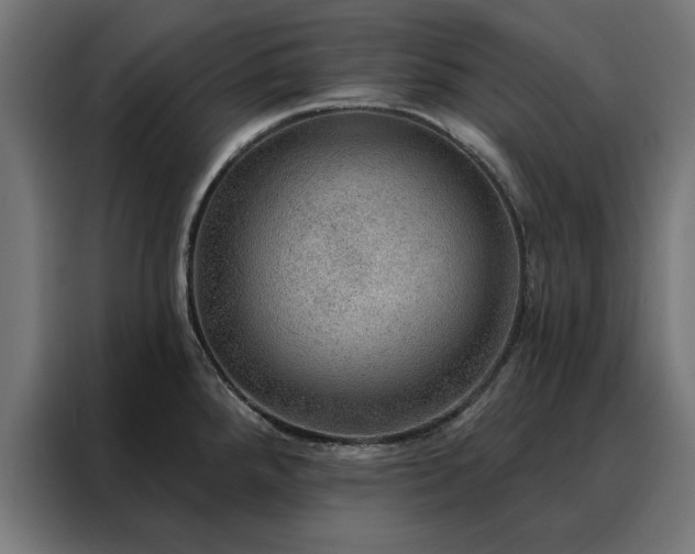 X0000088161288200705221553
