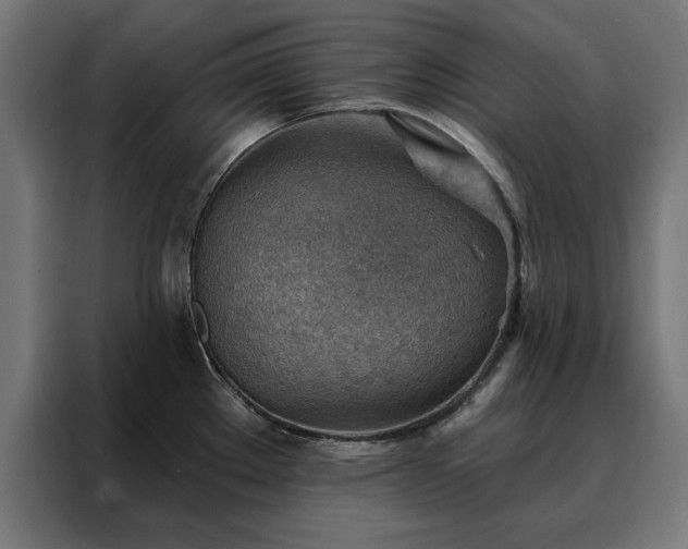 X0000088161289200705221553