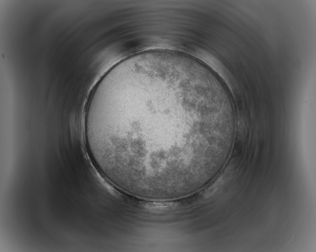 X0000088161290200705221553