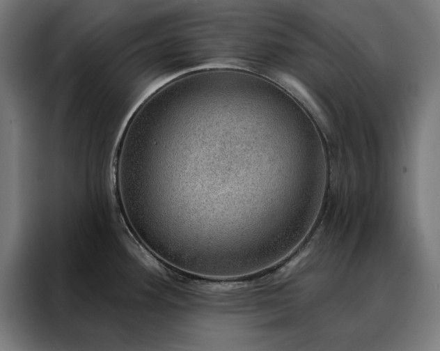 X0000088161292200705221553