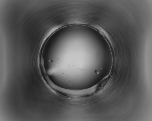 X0000088161293200705221553