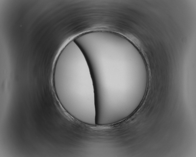 X0000088161296200705221553