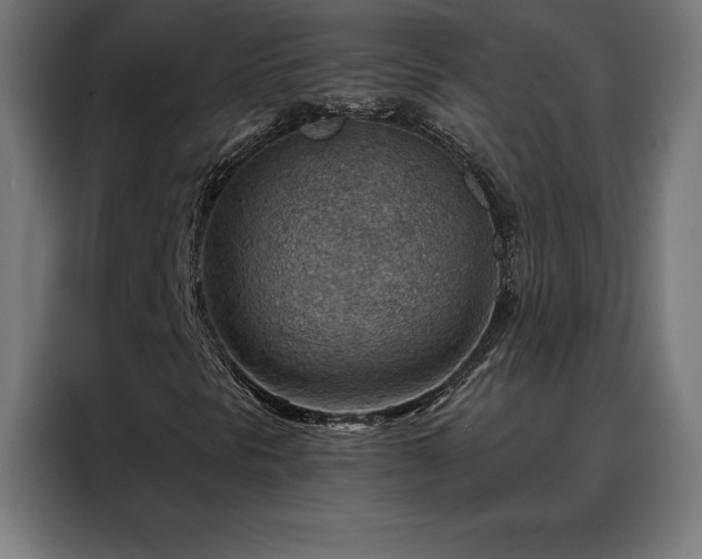 X0000088161297200705221552