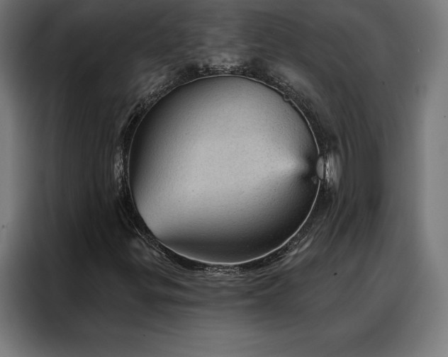 X0000088161299200705221552