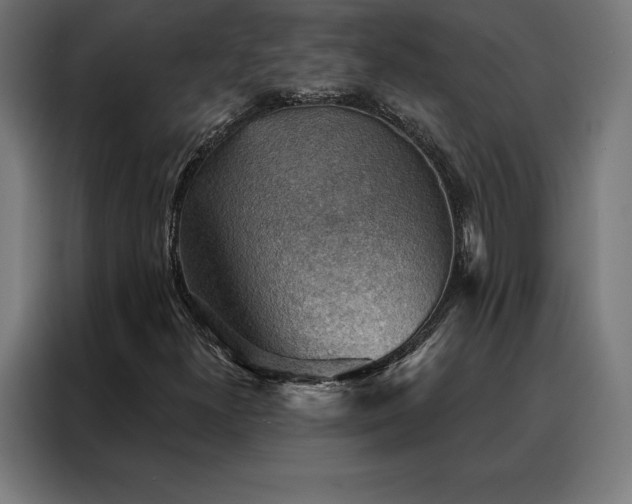 X0000088161300200705221552