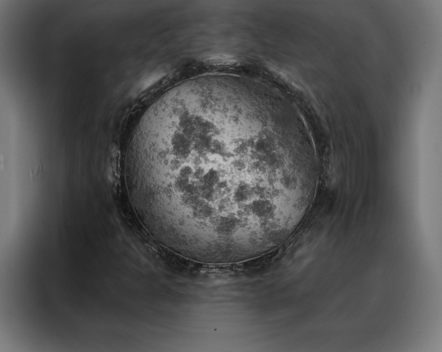 X0000088161301200705221552