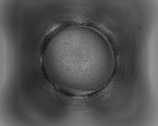 X0000088161302200705221552