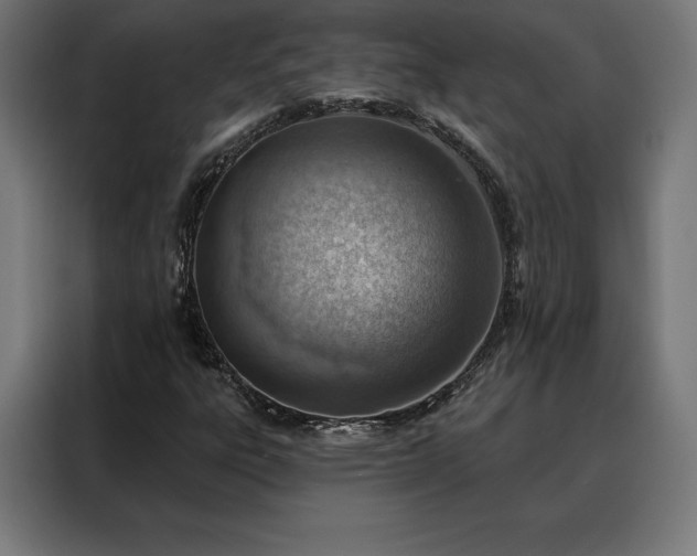 X0000088161303200705221552