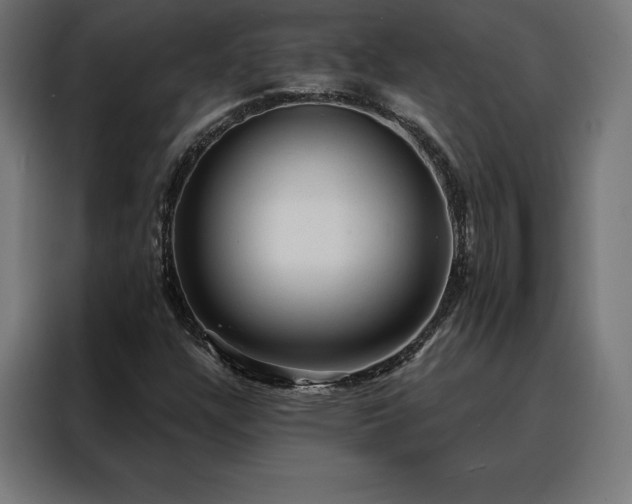 X0000088161304200705221553