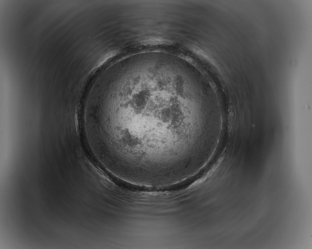 X0000088161305200705221553