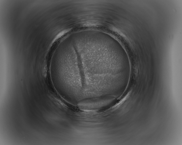 X0000088161306200705221553