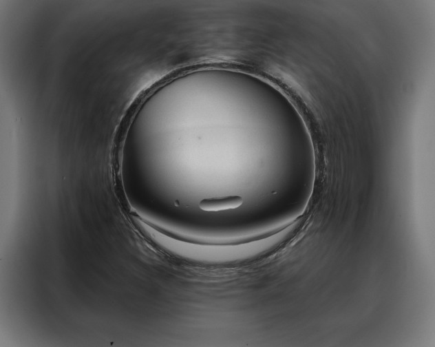 X0000088161308200705221553