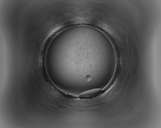 X0000088161309200705221553