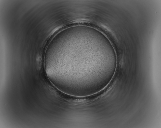 X0000088161313200705221553
