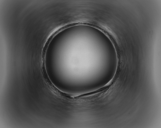 X0000088161316200705221553