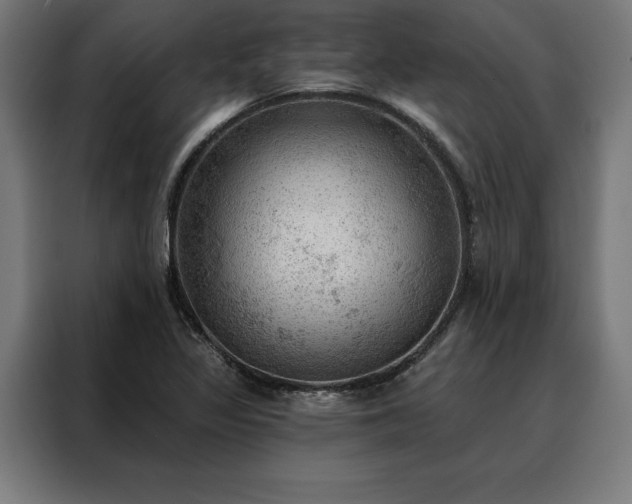 X0000088161317200705221553