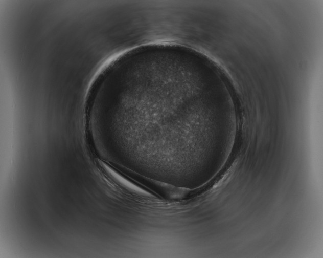 X0000088161319200705221553