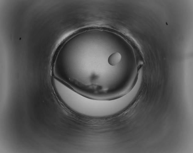 X0000088161320200705221553