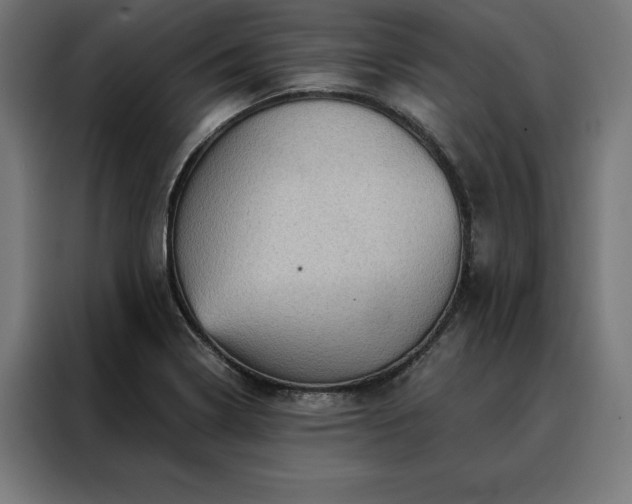 X0000088161322200705221553