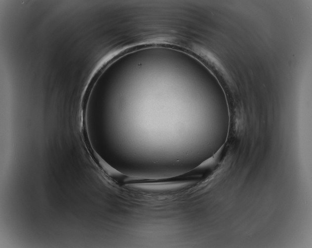 X0000088161324200705221553