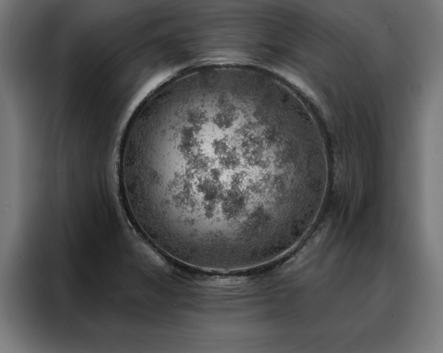X0000088161325200705221553