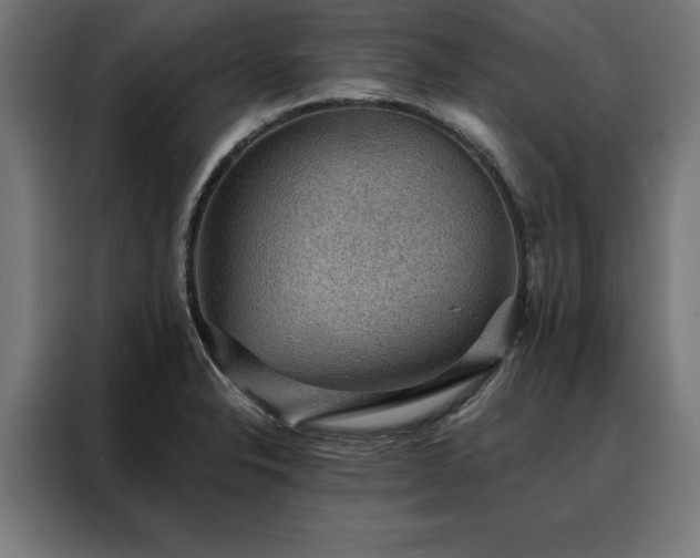 X0000088161326200705221553
