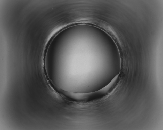 X0000088161328200705221553