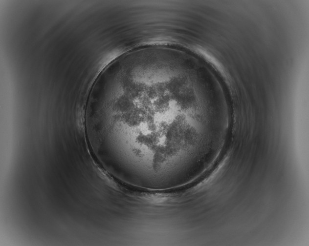 X0000088161329200705221553