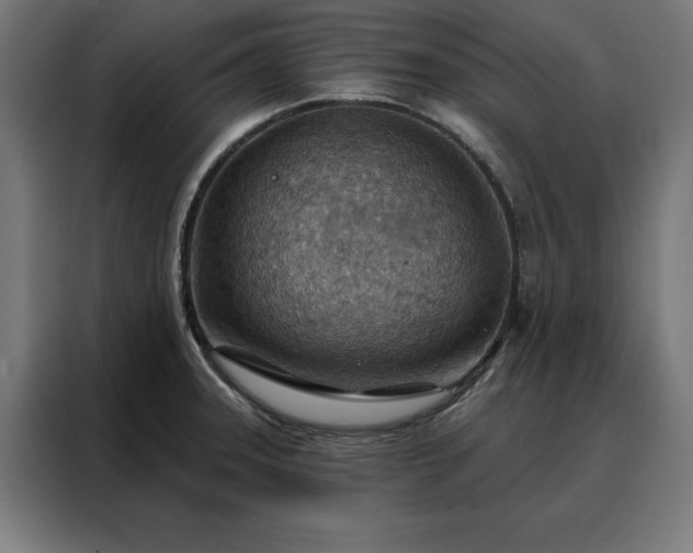 X0000088161331200705221553