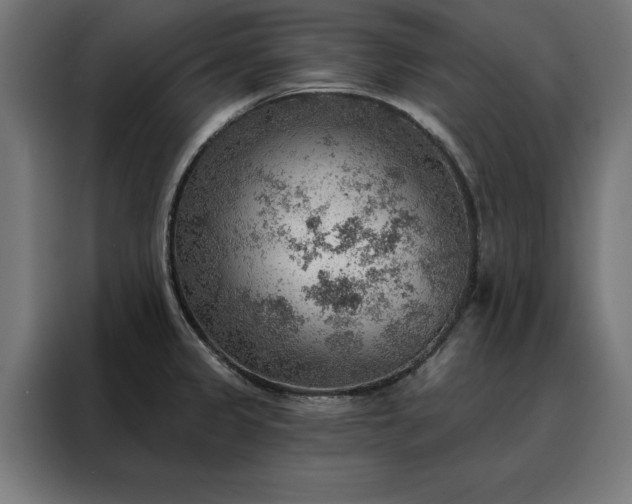 X0000088161333200705221553