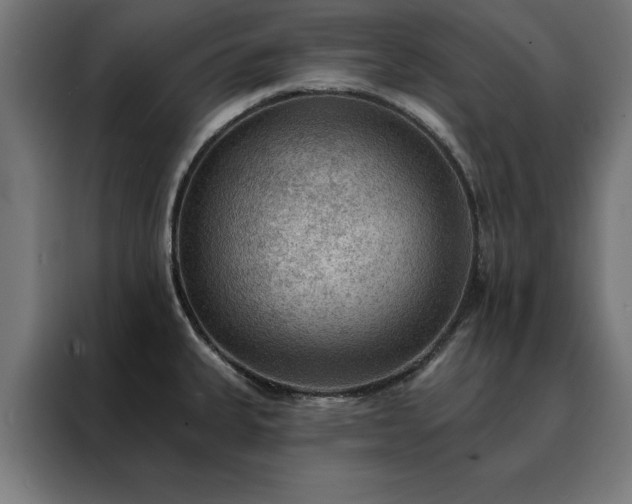 X0000088161335200705221553