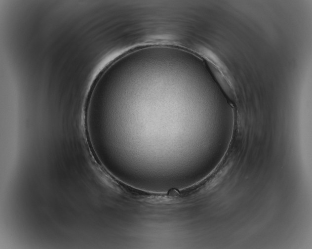 X0000088161336200705221553