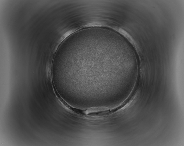 X0000088161337200705221553
