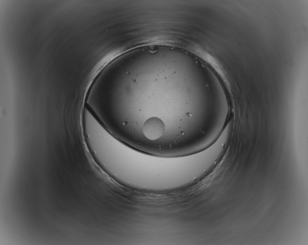 X0000088161338200705221553