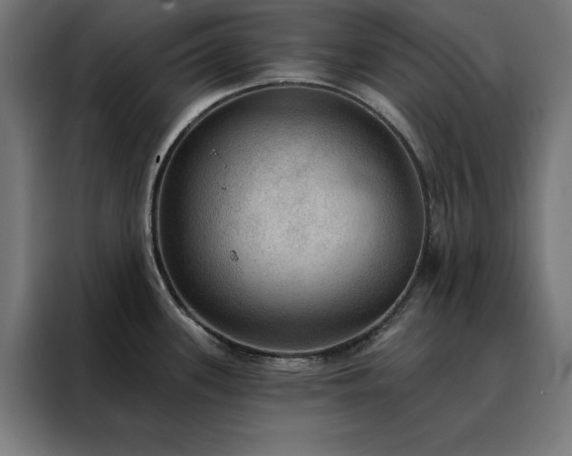 X0000088161339200705221553