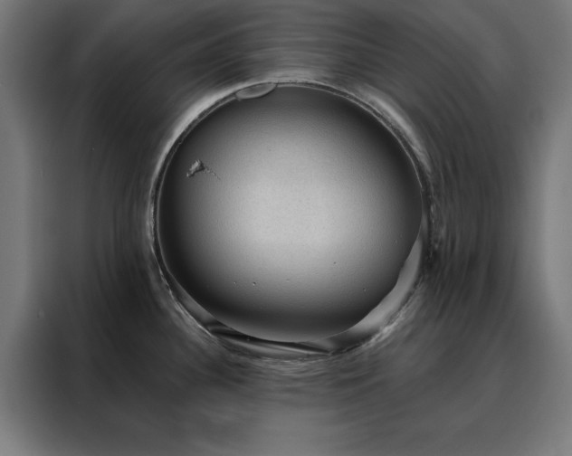 X0000088161340200705221553