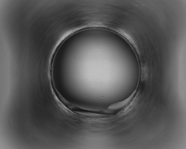 X0000088161342200705221553