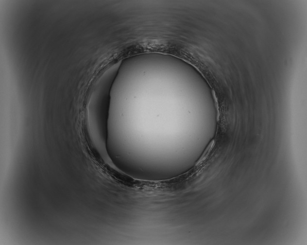 X0000088161345200705221552