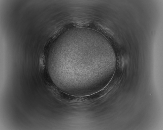 X0000088161346200705221552