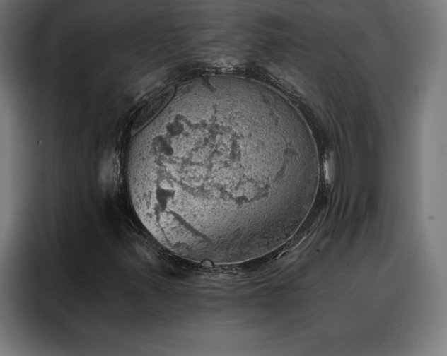 X0000088161347200705221552