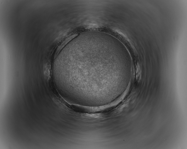 X0000088161348200705221552