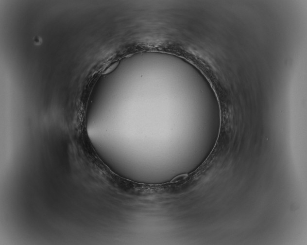 X0000088161349200705221552