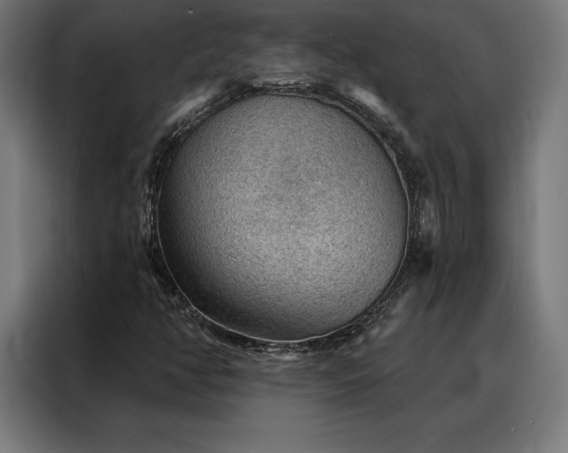 X0000088161350200705221552