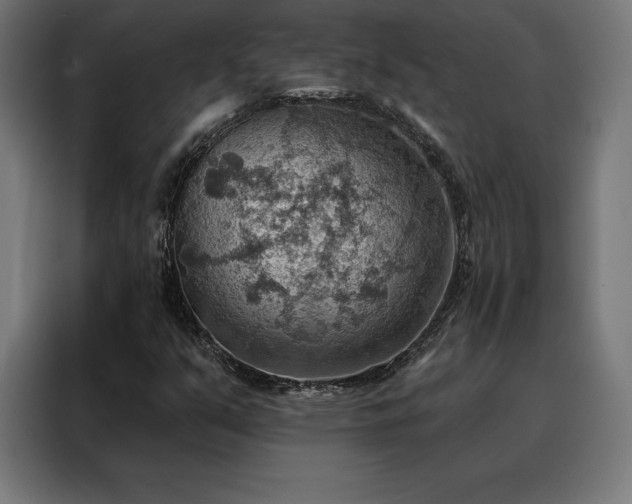 X0000088161351200705221552